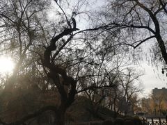 -迎泽公园