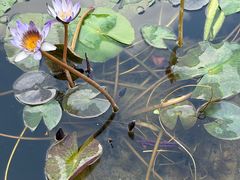 -凯威大酒店(海口秀英码头店)