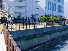 -小豆岛町