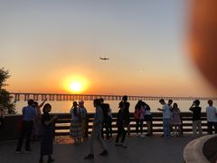 -宝安西湾红树林湿地公园