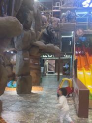 -卡通尼·Safari非洲探索乐园·生日会(金桥国际商业广场店)