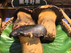 -楠小云·云南鲜菌·鲜牛自助火锅(九眼桥店)