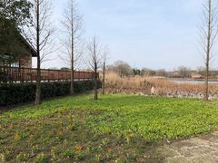 -长兴太湖图影湿地文化园