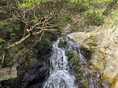 -梧桐山风景名胜区