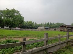 -田园东方蜜桃村的田野营地