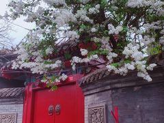 -隆福寺小吃店(东四店)