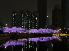 -西北湖绿化广场