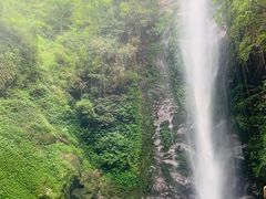 -莫里热带雨林景区