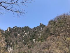 -王顺山国家森林公园