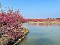 -漩门湾国家湿地公园