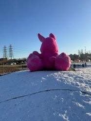 -268童话露营农场·烧烤·团建
