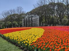 -上海鲜花港