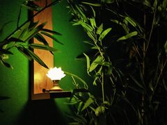 -木子塘汗蒸生活馆(财富港店)