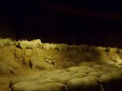 -汉景帝阳陵博物院