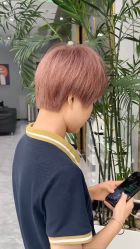 -YESIDO椰岛造型