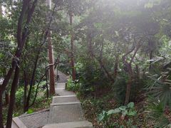 -南岗山公园