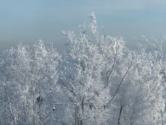 -中旅松花湖滑雪场