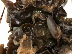 黑木耳-彤德莱(青岛人民路店)