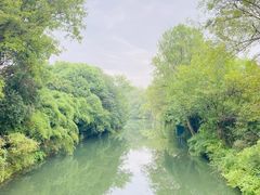 -西溪国家湿地公园