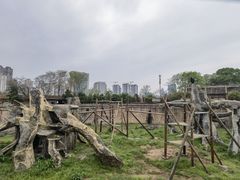 -南昌动物园