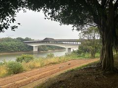 -福建鲤鱼洲酒店