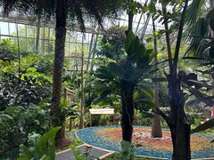 -南山植物园
