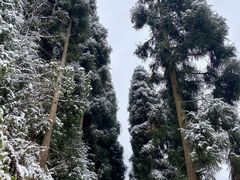 -九峰山