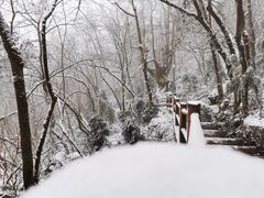 -九峰山