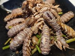 -红盔甲·小龙虾(天钥桥店)