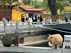 -宝通禅寺