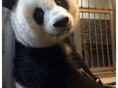 -八喜冰淇淋蛋糕(富国店)