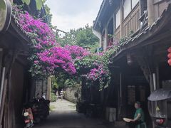 -黄龙溪古镇
