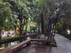 -成都市活水公园