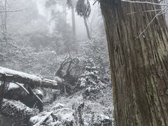 -东天目山风景区