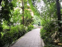 -成都市活水公园