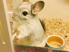 -龙猫仔乐园(惠福东路店)