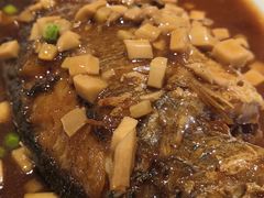 红烧大黄鱼-眉州东坡(民族园店)