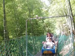 -藏龙百瀑风景区