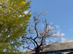 -北京石刻艺术博物馆(五塔寺)