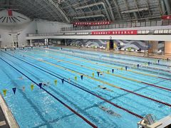 -二十一世纪饭店-游泳馆