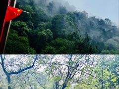 -泰山风景名胜区