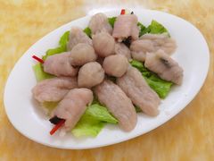 -金砂阿洲鱼册店