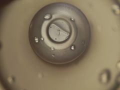 -爱月宝月嫂育儿嫂(太原店)