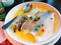 非一般鲈鱼-有璟阁港式餐厅(金融街购物中心店)