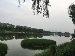 -亲兄弟真人CS团建拓展基地