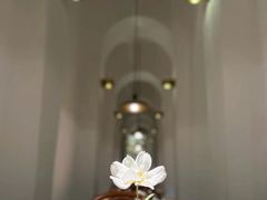 -麓椿花园西餐厅(海乐世界店)
