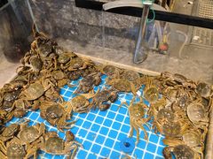 -一方渔歌蒸汽海鲜自助(文化路万达广场店)