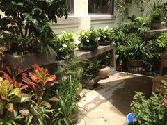 -鼓浪屿牌馅饼(博物馆店)