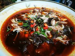 极品草原肚-永生號(未来城店)