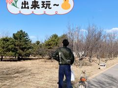 -绿堤公园